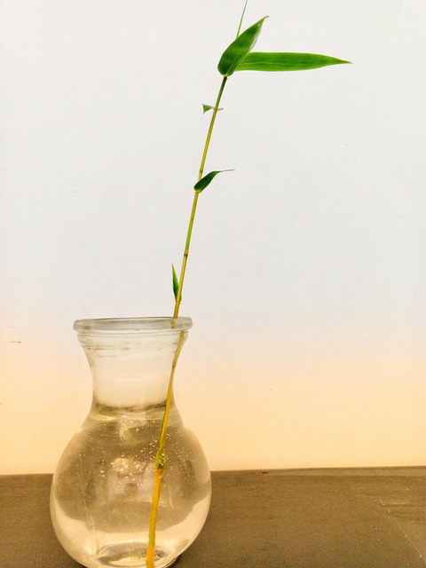 Free Bamboo Bottle photo and picture