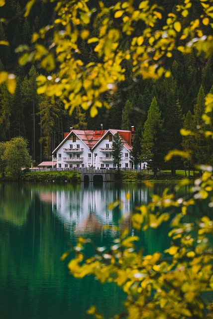 lake, house, forest, cabin, nature
