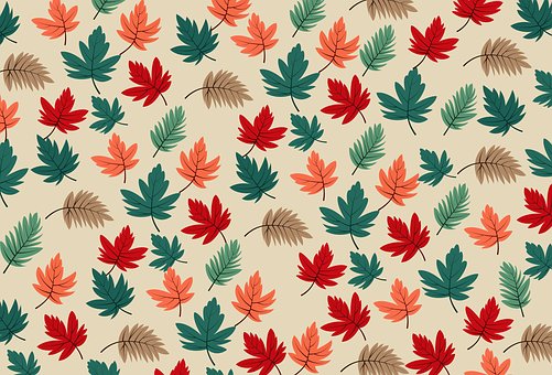 Free Leaves Plant vector and picture