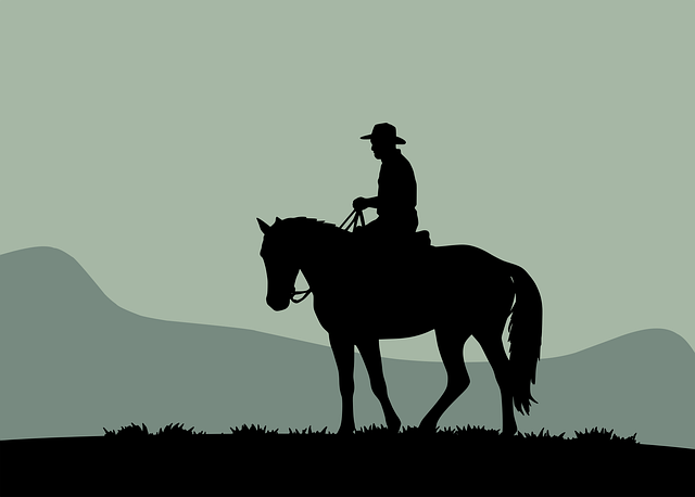 Cowboy, Paardrijden, Silhouet, Prairie