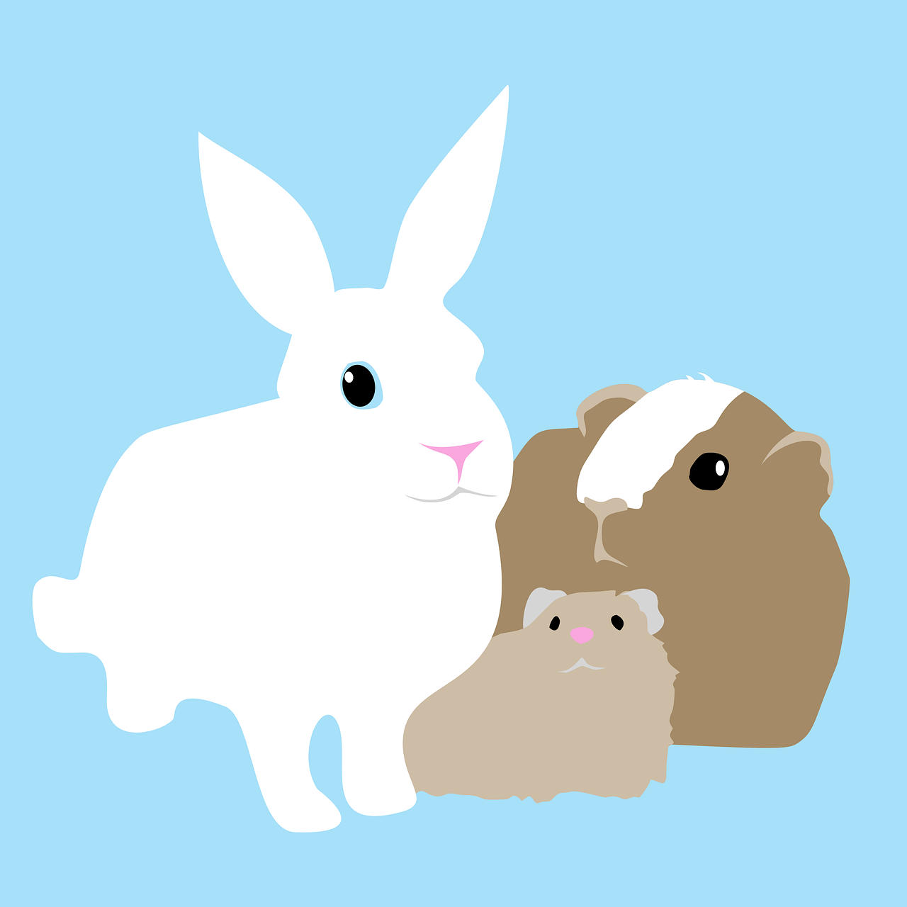 Free Pets Guinea Pig illustration and picture