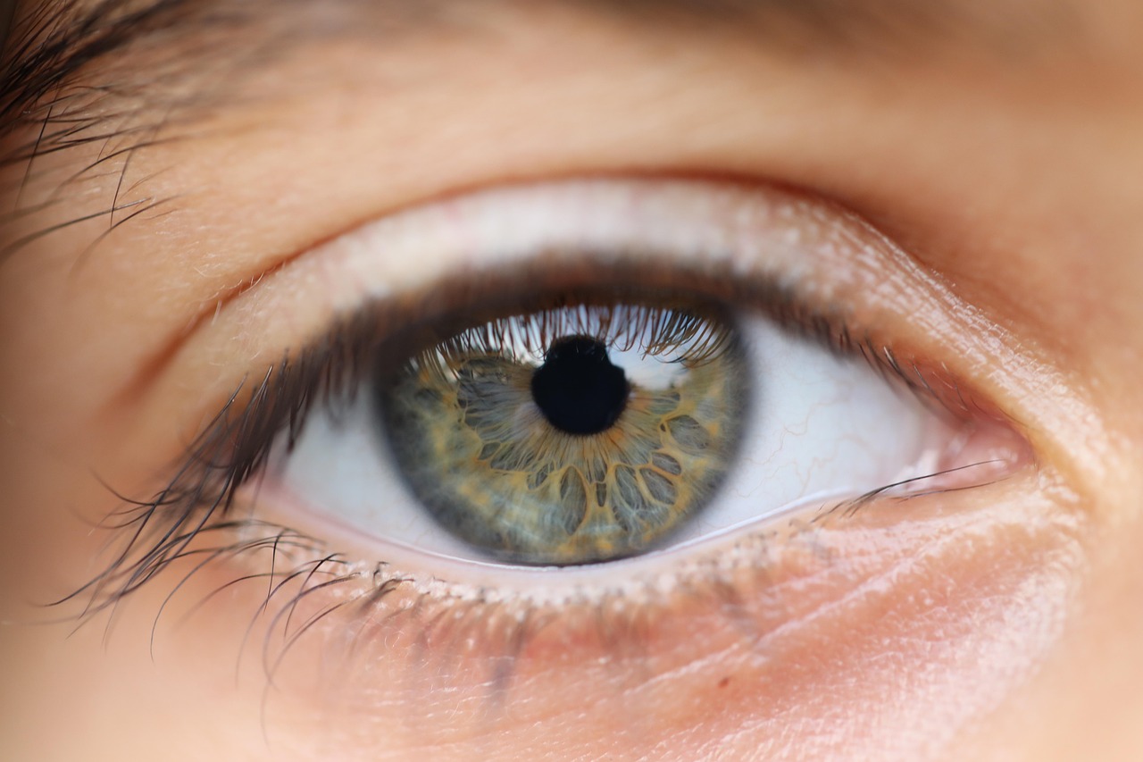 60 000 Free Soft Eyes Eye Images Pixabay