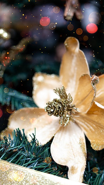 Free Christmas Xmas photo and picture