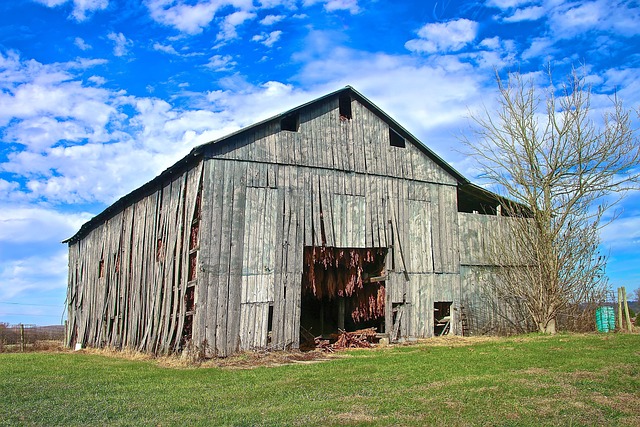 Kentucky, Natureza, Panorama, Fazenda
