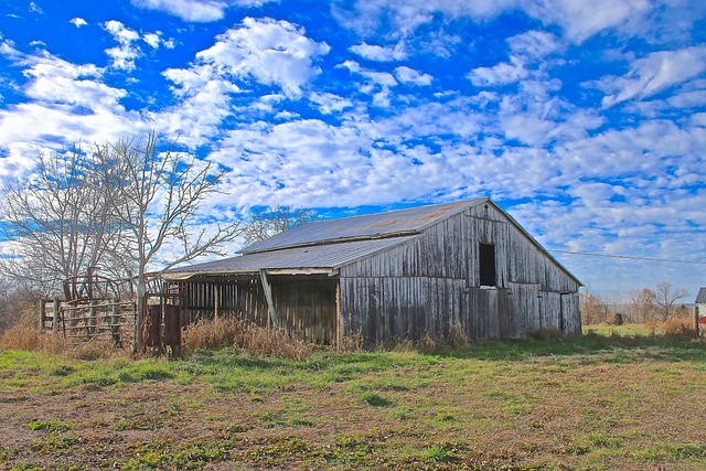 Kentucky, Natureza, Campo, Celeiro