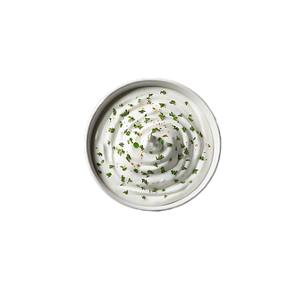 Free Yogurt Greek Yogurt illustration and picture