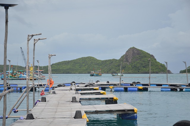 Free Sea Ocean photo and picture