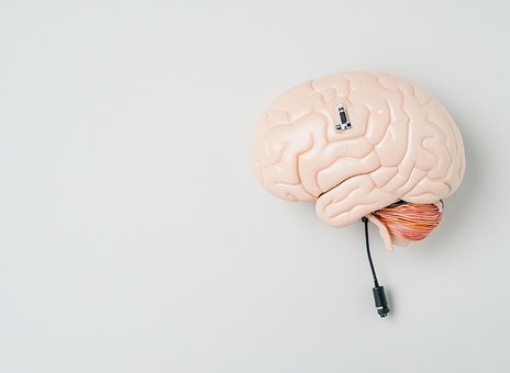 Ai Genereret, Kunstig Hjerne