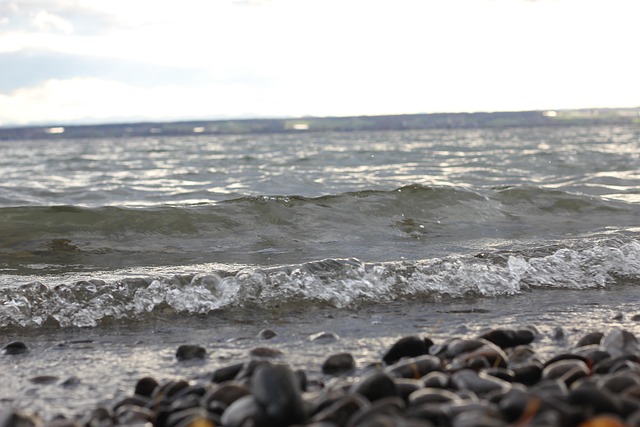 Free Lake Constance Nature photo and picture