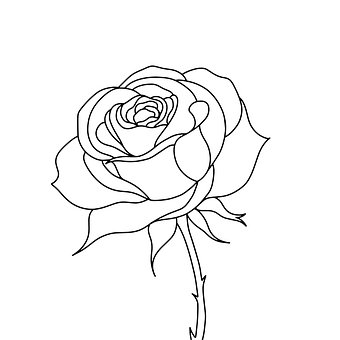 Free Flower Design vector and picture