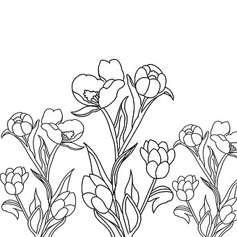 Free Flower Design vector and picture