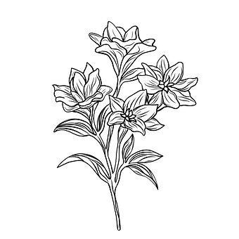 Free Flower Design vector and picture