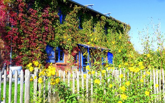 Free Overgrown Village View photo and picture