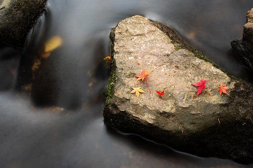 Free Autumn River photo and picture