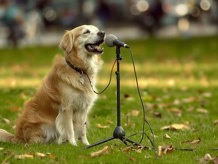 Free Dog Animal illustration and picture