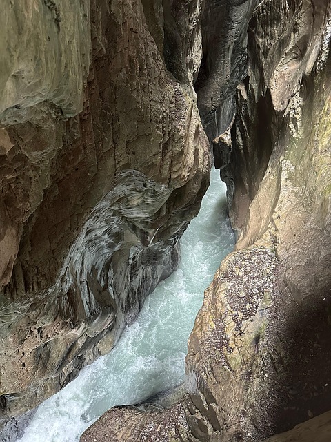 Bergbeek, Rosenlaui-Kloof