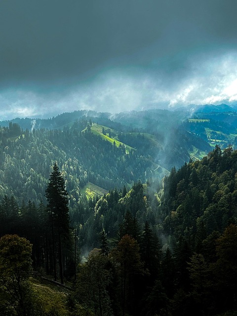 Pre-Alpen, Zwitserland, Hills, Schaal