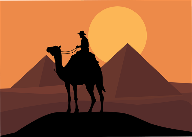 Kamel, Ørken, Pyramider, Silhuet