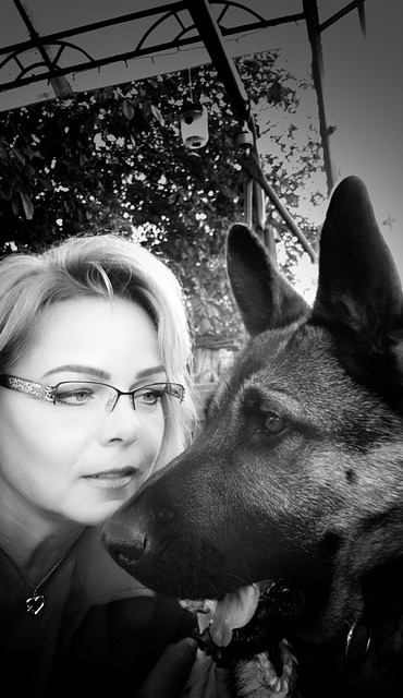 Free The Dog Friendship photo and picture