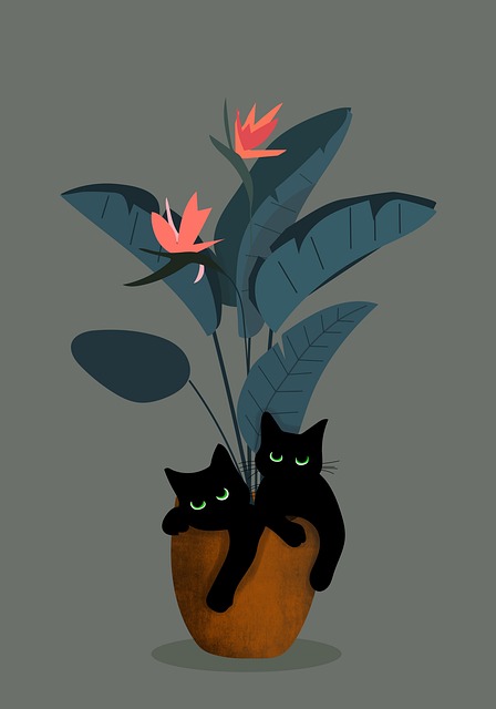 Free bird of paradise plant bird of paradise flower strelitzia illustration