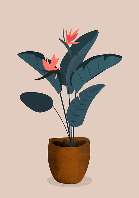 Free bird of paradise plant bird of paradise flower strelitzia illustration