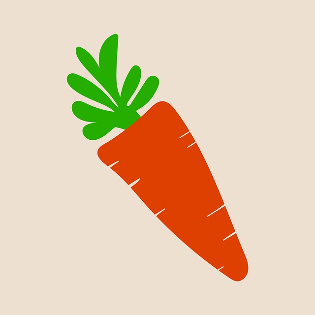 Free carrot vegetable food illustration