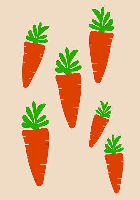 Free carrots root crops vegetables illustration