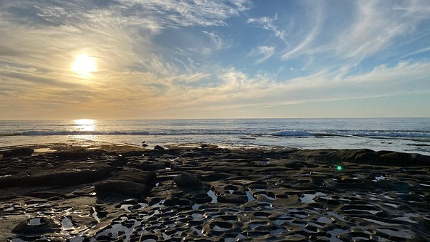 Free San Diego Beach photo and picture