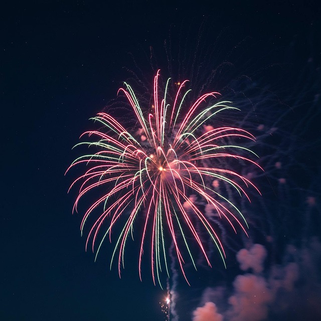 Download Fireworks Firework Sparkler Royalty Free Stock Illustration