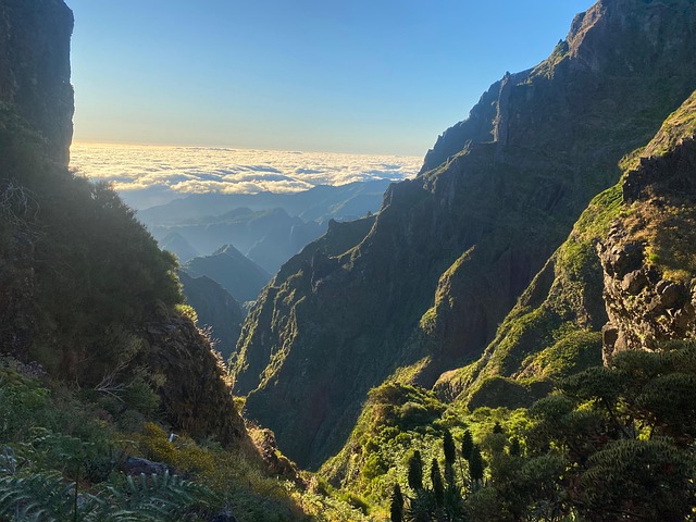 Madeira, Bergen, Natuur, Landschap