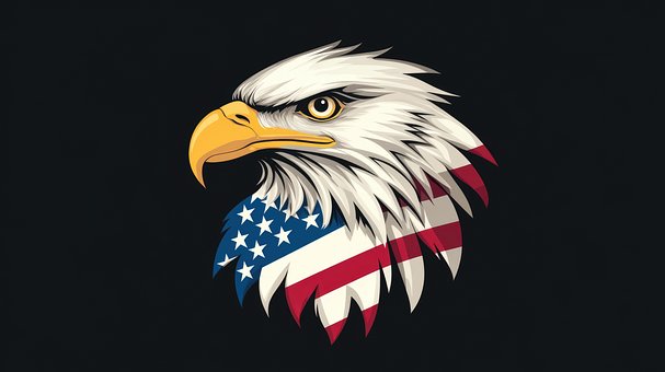 Ørn, Hvidhovedet Havørn, Amerikansk Flag