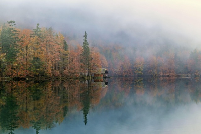 Free Nature Landscape photo and picture