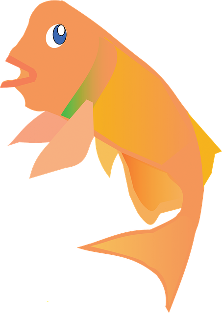 Peixe, Mar, Embaixo Da Agua, Aquário