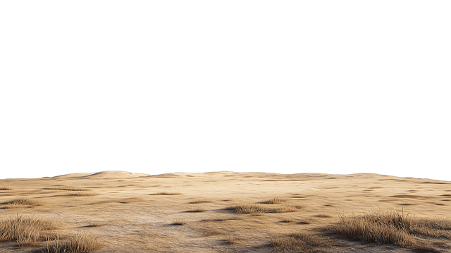 Free ai generated dry plain arid landscape illustration