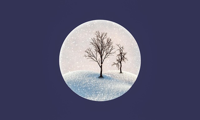 Schnee, Winter, Bäume, Schneeverwehungen