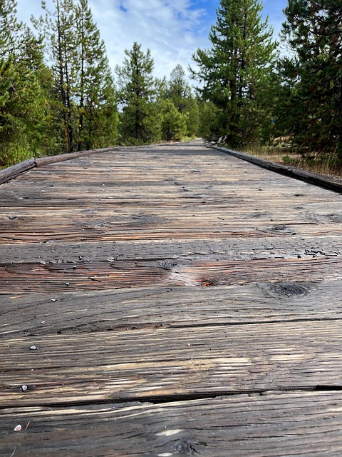 Free Boardwalk Wood photo and picture