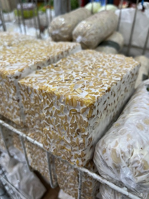 Tempeh, Depósito, Saludable, Cocinar