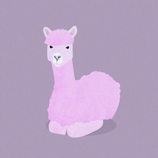 Free lama animal wool illustration