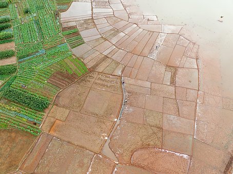 Campo, Naturaleza, Agricultura, Escénico