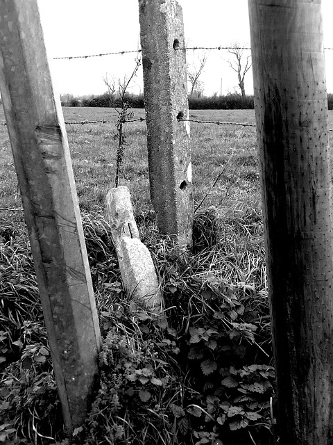 Feld, Natur, Landschaft, Winter, Urban