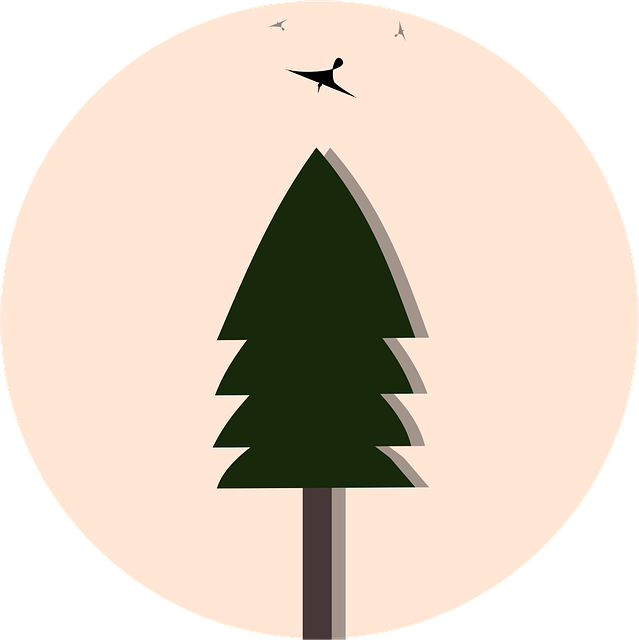 Free Tree Bird vector and picture