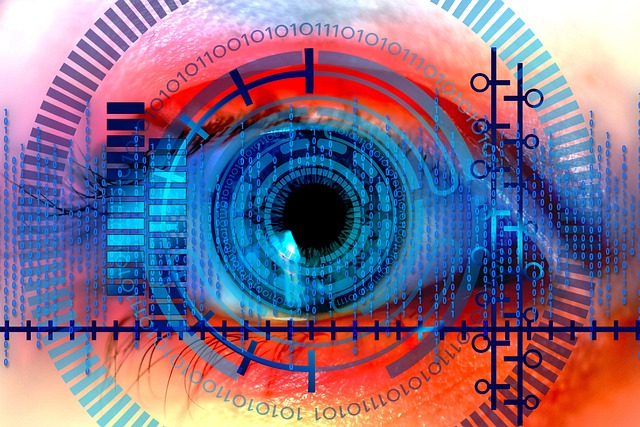 Free iris eye scan illustration