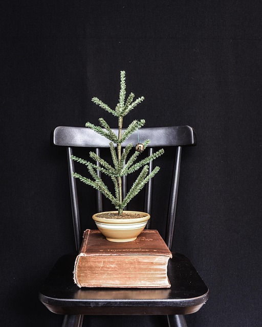 Free Black Backdrop Black Chair photo and picture