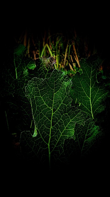 Free Nature Plant ai generated image and illustration
