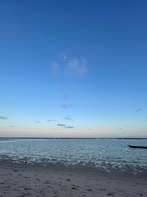 Free Beach Nature photo and picture