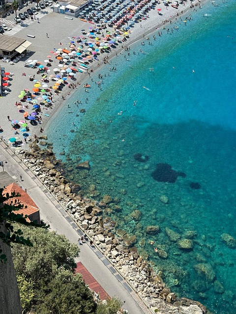 Free Scilla Beach photo and picture