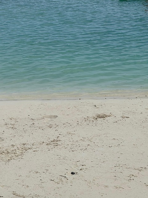 Free Sea Beach photo and picture