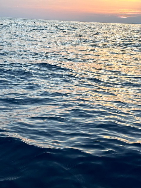 Free Sea Ocean photo and picture