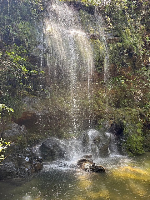 Free Water Waterfall photo and picture