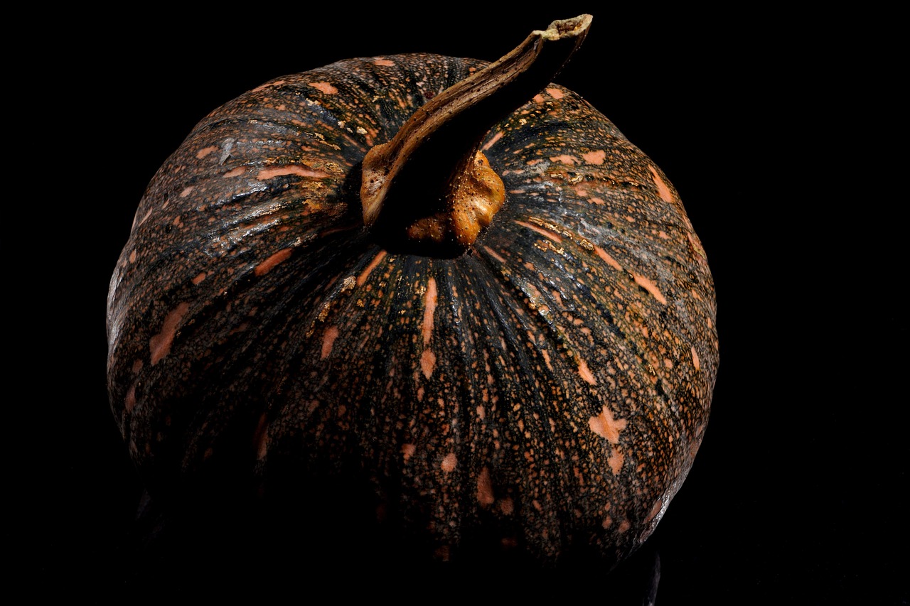 Pumpkin - free online jigsaw puzzle photo
